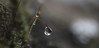 Jak działa tryb skupienia?