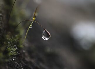 Jak działa tryb skupienia?