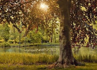 Ile trzeba ćwiczyć żeby wyrzeźbić sylwetkę? Ile trzeba ćwiczyć żeby wyrzeźbić sylwetkę?