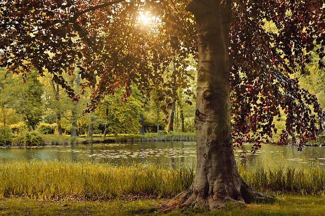 Ile trzeba ćwiczyć żeby wyrzeźbić sylwetkę? Ile trzeba ćwiczyć żeby wyrzeźbić sylwetkę?