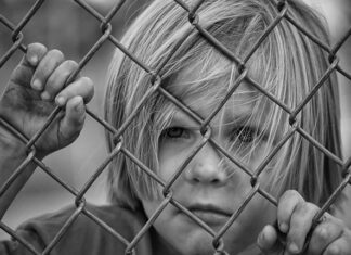 Jakie są ogniwa nauczania? Jakie są ogniwa nauczania?