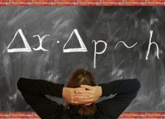 Na czym polega zasada wiązania teorii z praktyką?