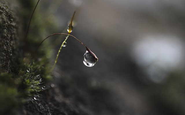 Czym się różni skupienie od koncentracji? Czym się różni skupienie od koncentracji?