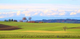 Ile to jest 18 000 brutto?