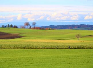 Ile to jest 18 000 brutto? Ile to jest 18 000 brutto?