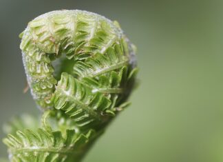 Dlaczego warto rozwijać swoje kompetencje? Dlaczego warto rozwijać swoje kompetencje?