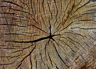 Co to jest roczne rozliczenie podatkowe?