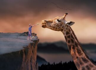 Na czym polega karmienie przez sondę?